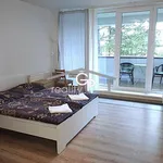 Pronájem apartmánu 1+kk s ter., Lipno nad Vltavou