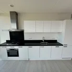 Rent 1 bedroom apartment of 94 m² in Haarlem