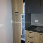 Rent 2 bedroom apartment of 45 m² in Piacenza