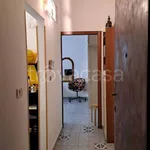 Rent 1 bedroom apartment of 40 m² in Milano