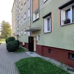 Wynajmę mieszkanie 38,10 m² ul. Reymonta, Chodzież