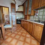 Rent 6 bedroom house of 115 m² in Viareggio