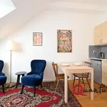 Rent 1 bedroom apartment of 31 m² in Prague