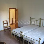 Rent 4 bedroom apartment of 90 m² in Bologna