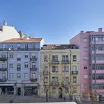 Rent 7 bedroom apartment in lisbon