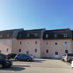 Rent 2 bedroom apartment of 42 m² in Wiener Neustadt