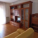 Rent 3 bedroom apartment of 70 m² in Follonica