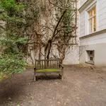 Rent 2 bedroom apartment of 52 m² in Berlin