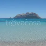 Rent 6 bedroom apartment of 146 m² in Olbia