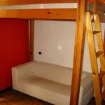 Rent 1 bedroom apartment of 18 m² in Lyon 1