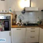 Appartamento arredato con terrazzo Seravezza