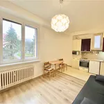 Pronajměte si 1 ložnic/e byt o rozloze 33 m² v Prague