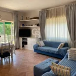 Rent 5 bedroom apartment of 110 m² in Orbetello