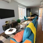 Rent 1 bedroom apartment in Williamsburg