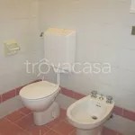 Rent 4 bedroom apartment of 80 m² in Biella