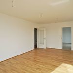 Miete 3 Schlafzimmer wohnung von 90 m² in Dresden