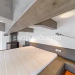 Pronajměte si 1 ložnic/e byt o rozloze 98 m² v Prague