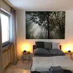 Rent 1 bedroom apartment of 28 m² in Essen