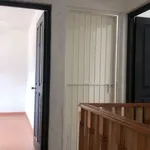 Rent 3 bedroom house in San Cristóbal