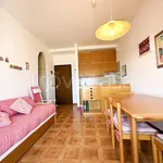 Rent 2 bedroom apartment of 45 m² in Jesolo