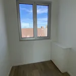  appartement avec 1 chambre(s) en location à Geel