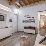 Rent 1 bedroom apartment in Florence