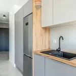 Rent 1 bedroom apartment of 35 m² in Poznan