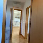 Rent 4 bedroom apartment of 90 m² in Padova