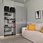 Rent 1 bedroom apartment of 28 m² in Milan