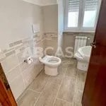 Rent 4 bedroom apartment of 120 m² in Velletri