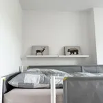 Miete 3 Schlafzimmer wohnung von 80 m² in Chemnitz