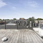 Rent 3 bedroom apartment of 59 m² in Haarlem