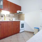 Rent 1 bedroom apartment of 45 m² in Brno