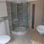 Rent 2 bedroom apartment of 51 m² in Trhový Štěpánov