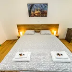 Rent 1 bedroom house in Praha 2