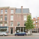 Rent 2 bedroom apartment of 76 m² in Stadhoudersplantsoen