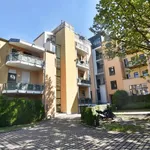 Rent 2 bedroom apartment of 43 m² in Chemnitz