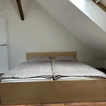 Rent 1 bedroom apartment of 56 m² in Prague