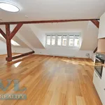 Rent 1 bedroom apartment of 56 m² in Brno