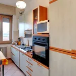 Rent 1 bedroom apartment in Milan