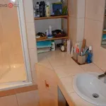 Rent 4 bedroom apartment of 78 m² in Ježkovice