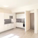 Rent 1 bedroom apartment of 42 m² in Brno