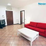 Rent 2 bedroom apartment of 55 m² in Novara