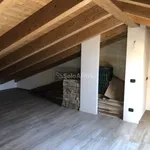 Affitto 6 camera appartamento di 230 m² in Castelfranco Emilia