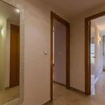 Rent 2 bedroom apartment in valencia