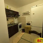 Rent 1 bedroom apartment in Blansko