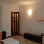 Rent a room in padua