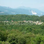 3-room flat via Bosco 1, Leggiuno