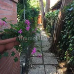 3-room flat via Grottammare, Fregene, Fiumicino