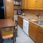 Rent 1 bedroom apartment of 50 m² in Genova